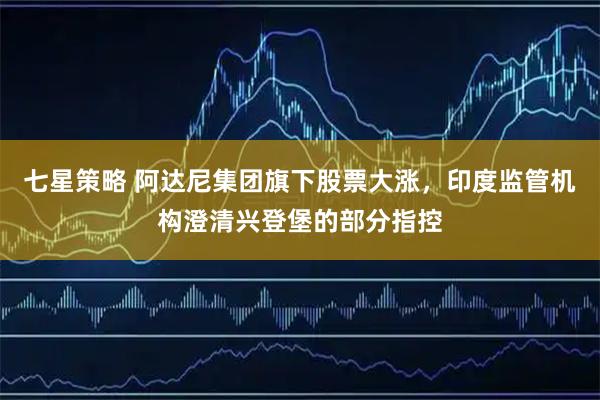 七星策略 阿达尼集团旗下股票大涨，印度监管机构澄清兴登堡的部分指控