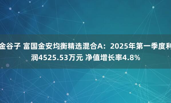 金谷子 富国金安均衡精选混合A：2025年第一季度利润4525.53万元 净值增长率4.8%