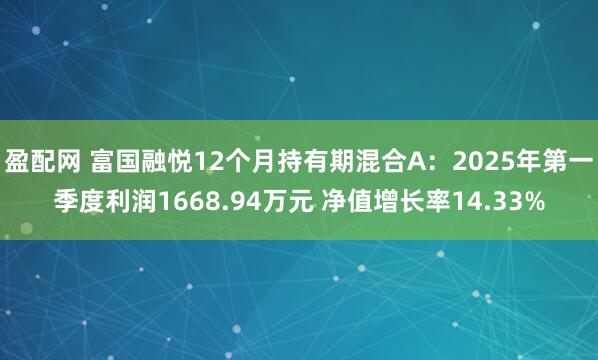 盈配网 富国融悦12个月持有期混合A：2025年第一季度利润1668.94万元 净值增长率14.33%