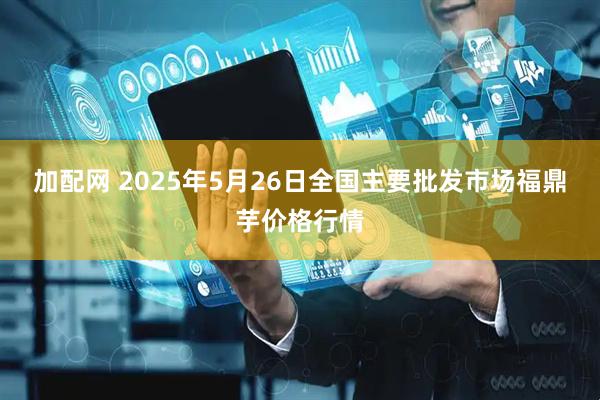 加配网 2025年5月26日全国主要批发市场福鼎芋价格行情