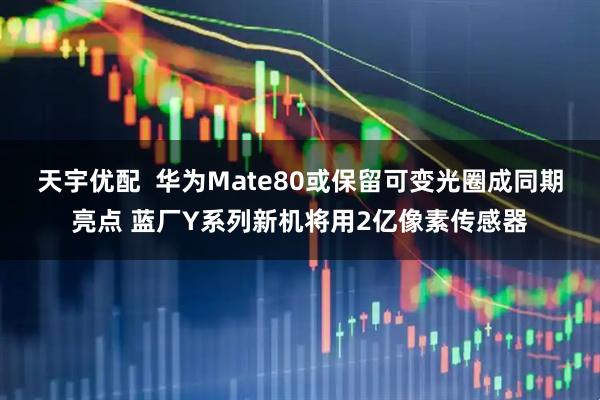 天宇优配  华为Mate80或保留可变光圈成同期亮点 蓝厂Y系列新机将用2亿像素传感器