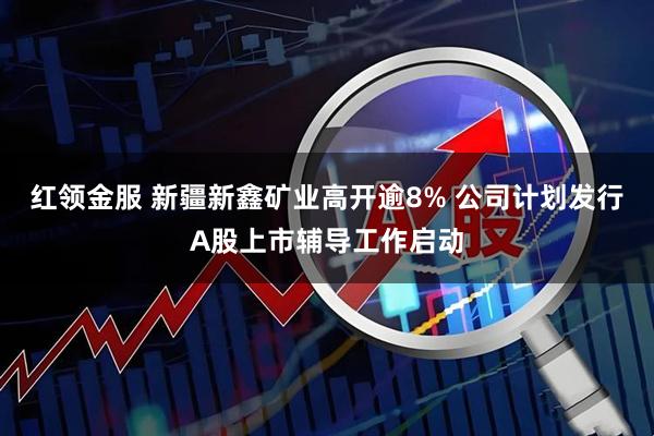 红领金服 新疆新鑫矿业高开逾8% 公司计划发行A股上市辅导工作启动