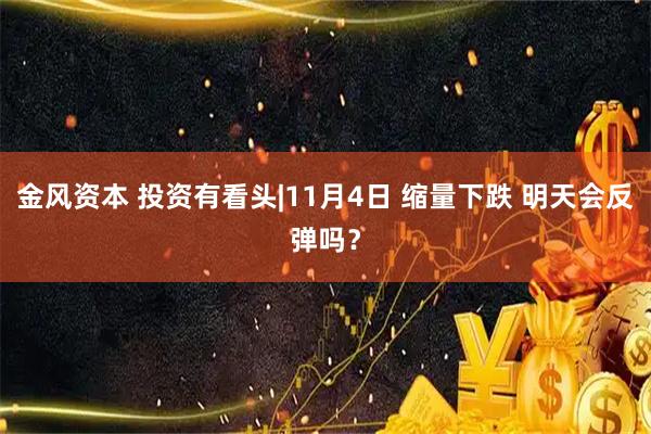 金风资本 投资有看头|11月4日 缩量下跌 明天会反弹吗？