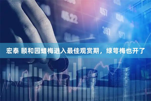 宏泰 颐和园蜡梅进入最佳观赏期，绿萼梅也开了